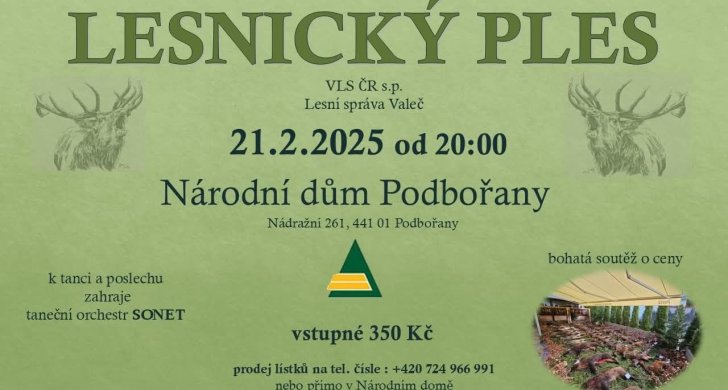 lesnický ples.jpg